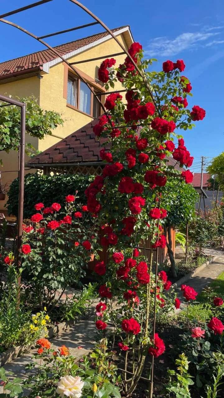 Квітковий Двір Golubinoye Luaran gambar