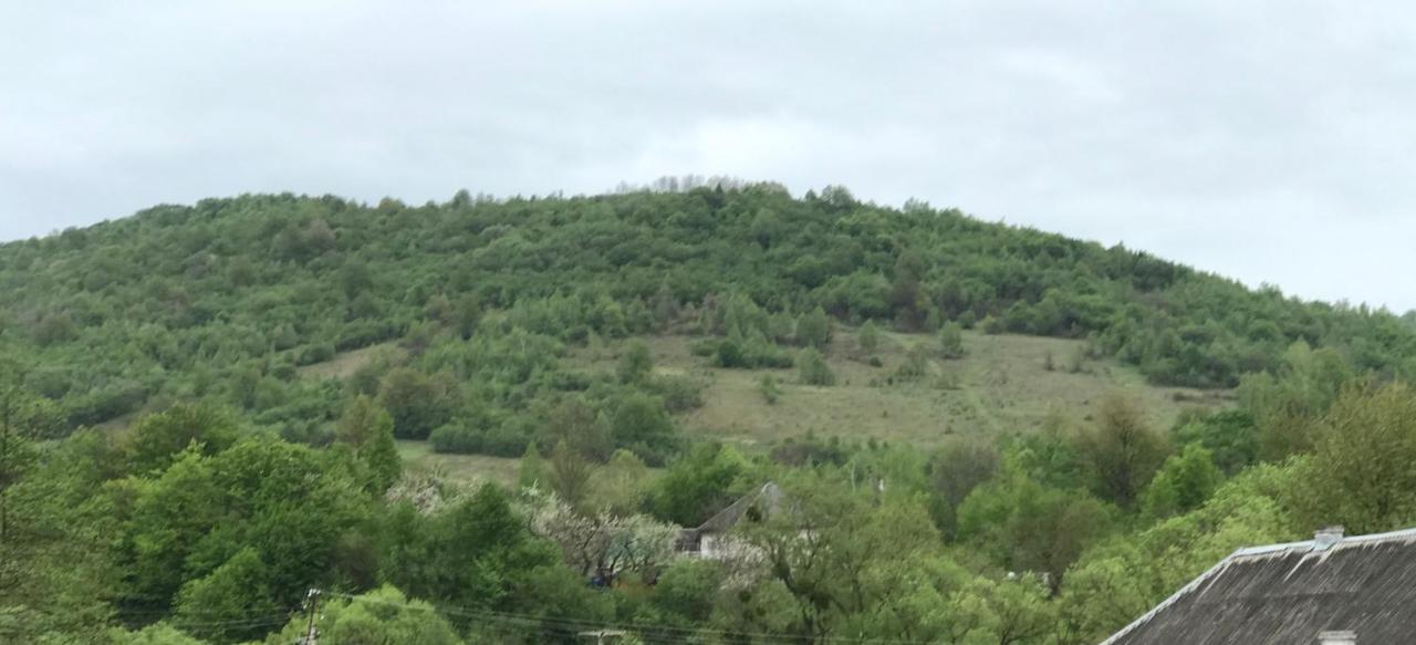 Квітковий Двір Golubinoye Luaran gambar